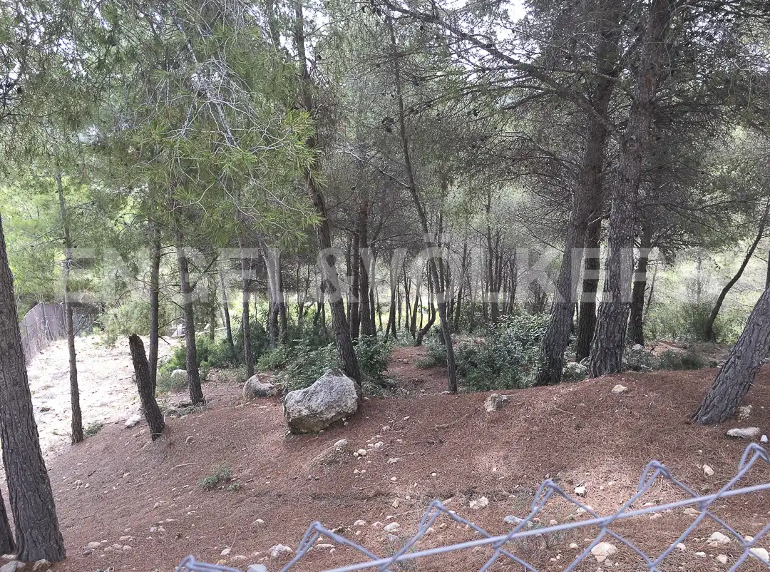 Terreno residenziale in vendita a Costa Cunit - Els Jardins - Els Rosers, imagen 7