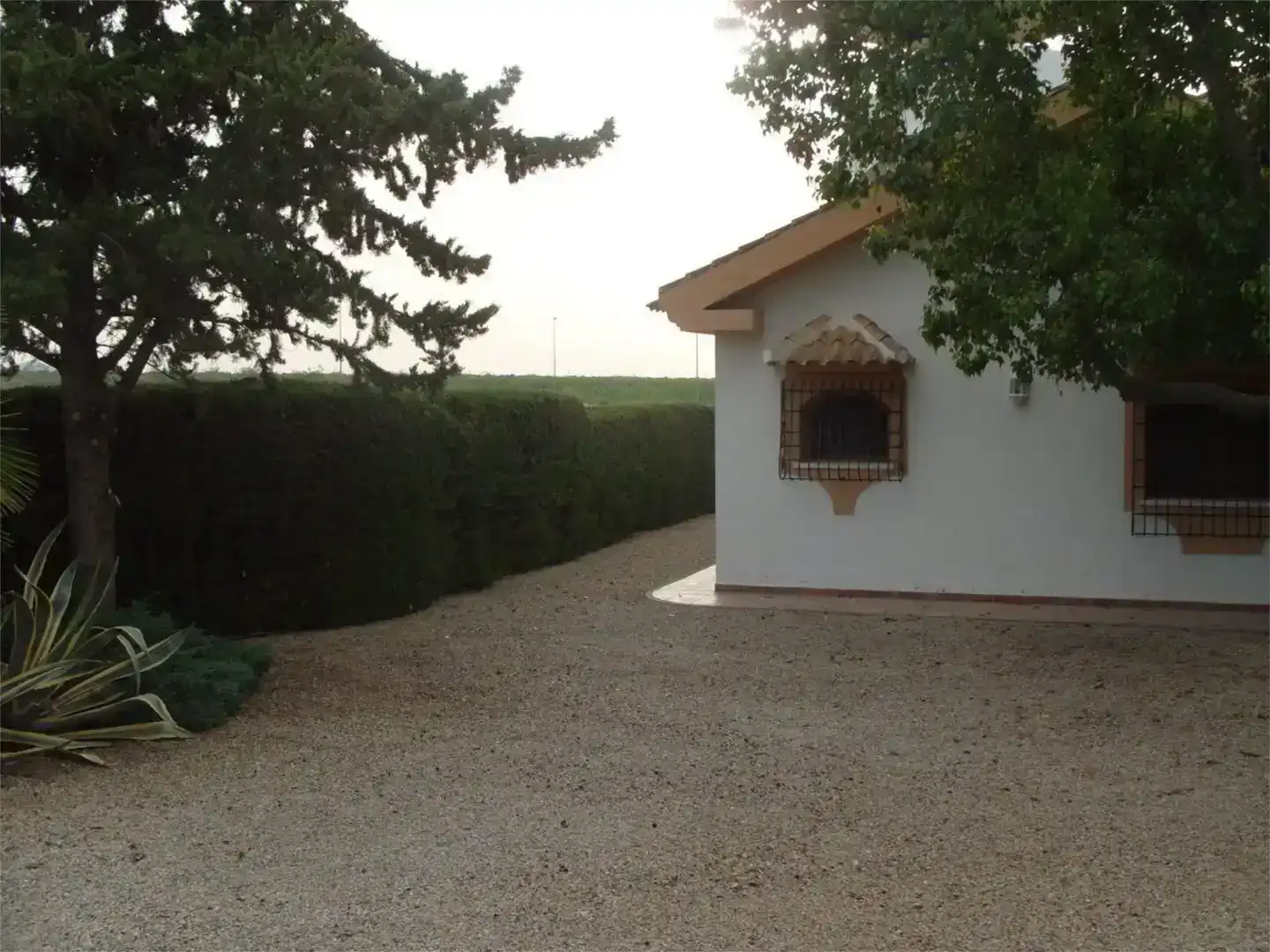 Jardí de Casa o xalet en venda en Alhama de Murcia amb Piscina