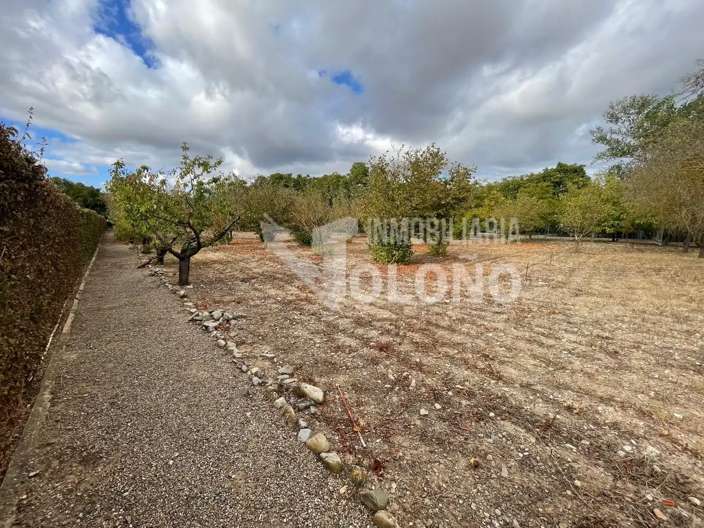 Maison rustique avec jardin à vendre à Calle Zarra 11, imagen 45