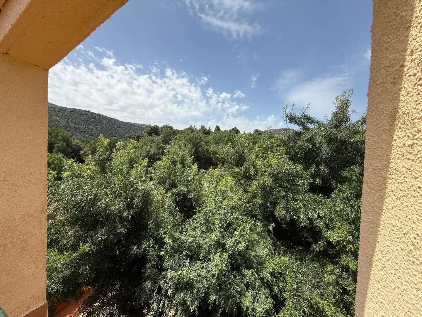 Casa o chalet en venta en Calle BARRIO DEL MORISCO, Navatalgordo