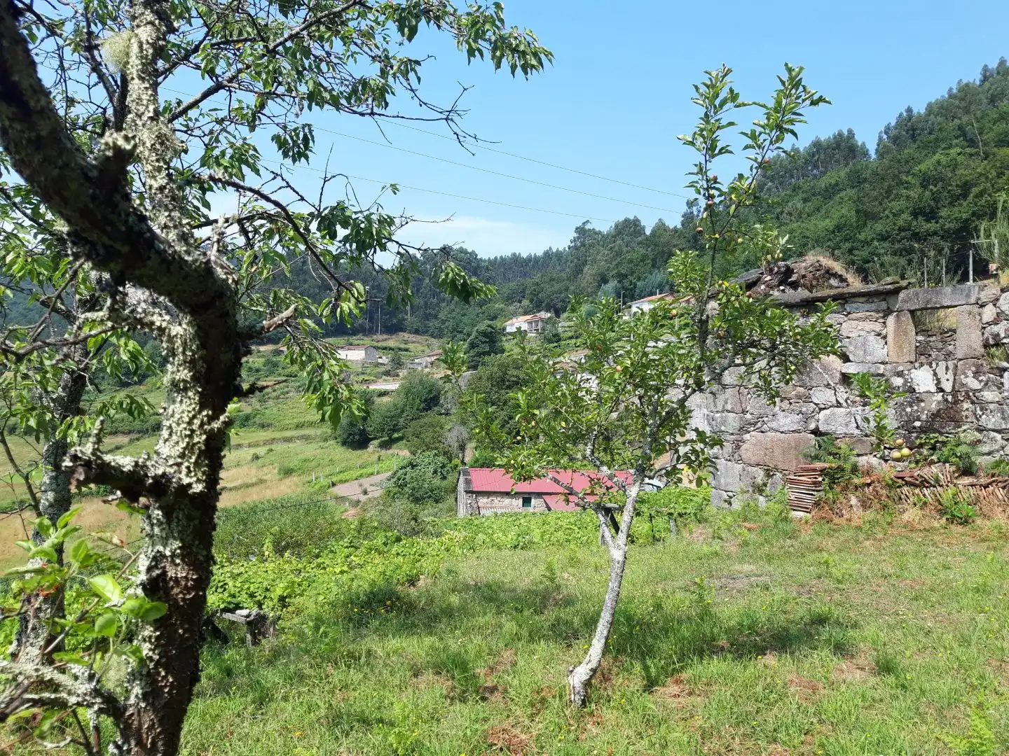 Vista exterior de Terreno en venta en Campo Lameiro, Pontevedra