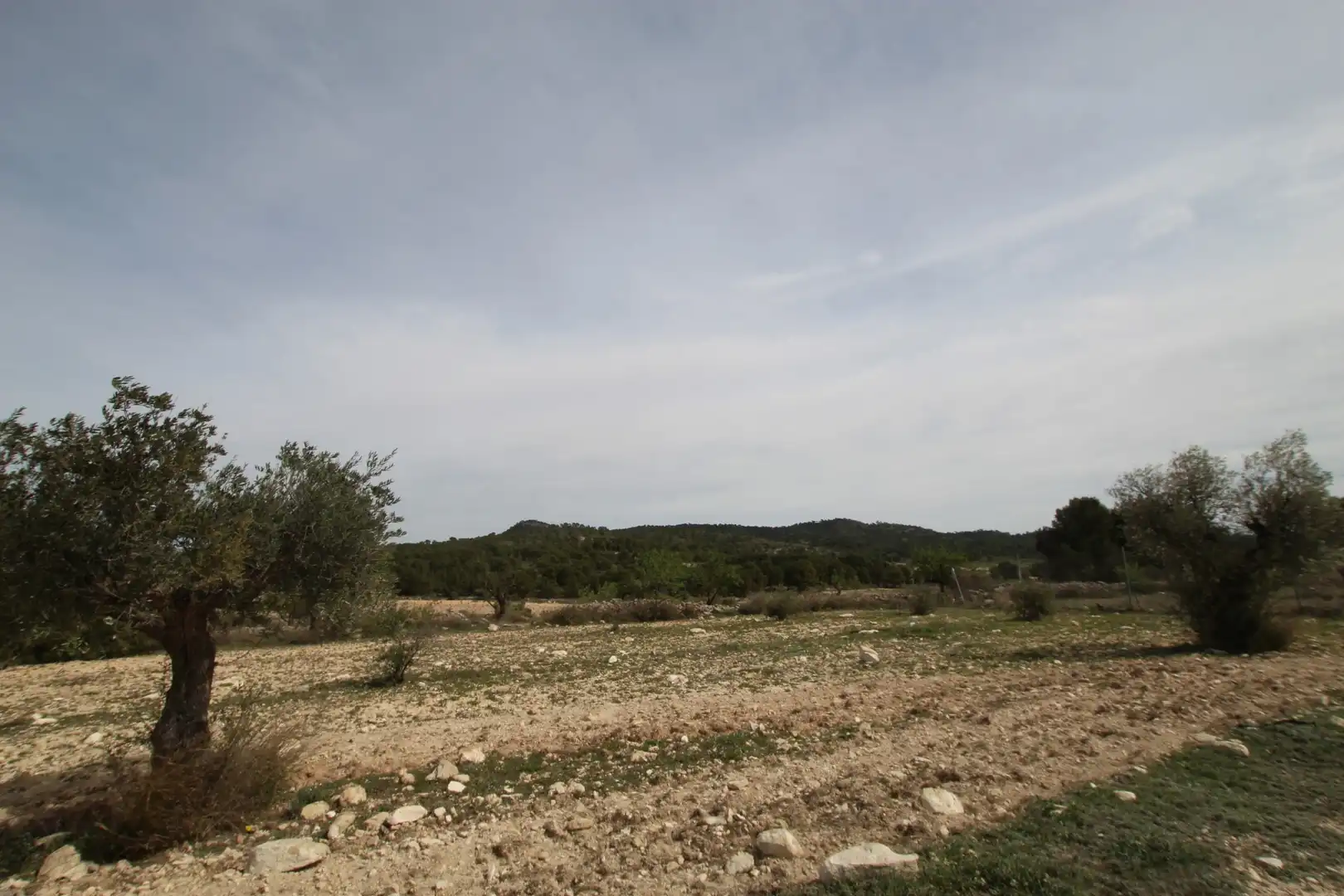Maison rustique à vendre à Monóvar  / Monòver, imagen 16