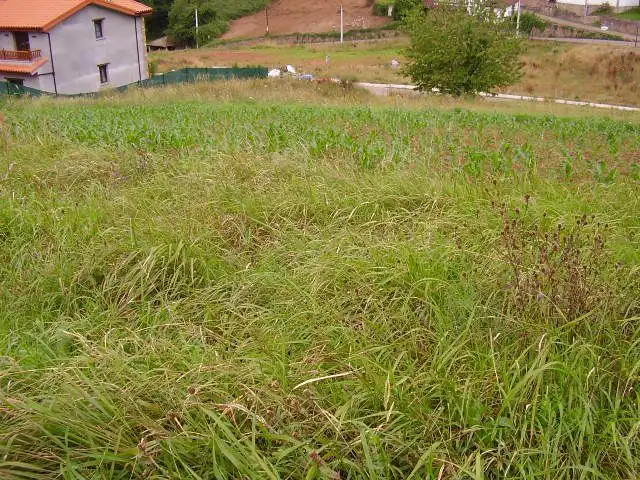Terreny residencial en venda a Candamo, imagen 5