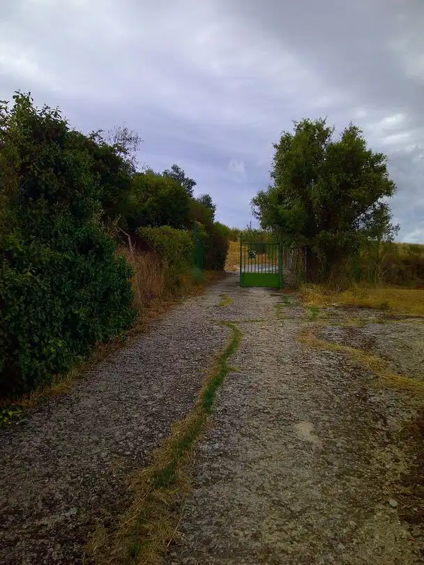 Villa à vendre à Carretera Campanas 5, imagen 48