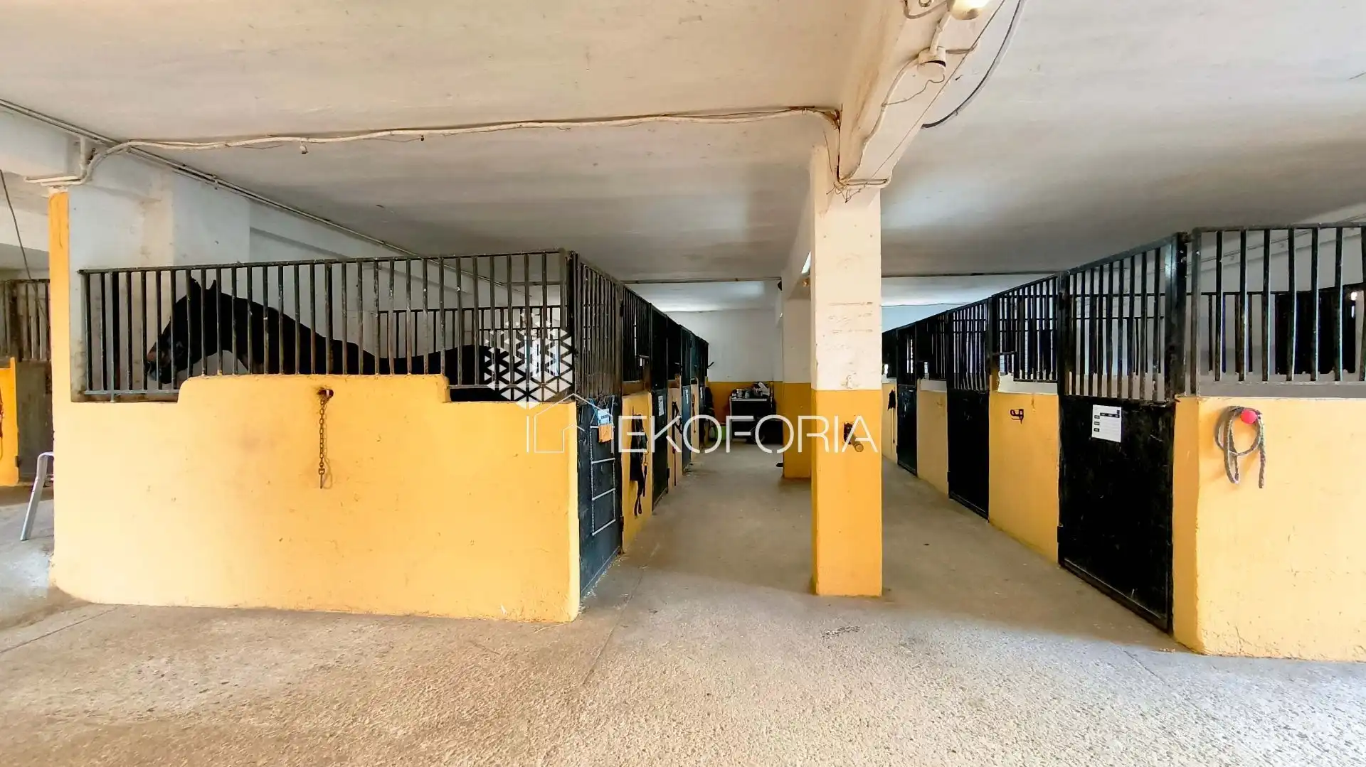House for sale in Riba-roja de Túria, imagen 20