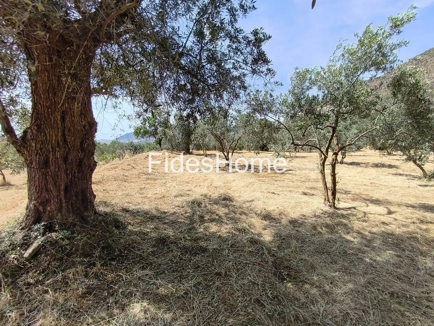 Rural land for sale in XFJ3+526 Nigüelas 0, imagen 29