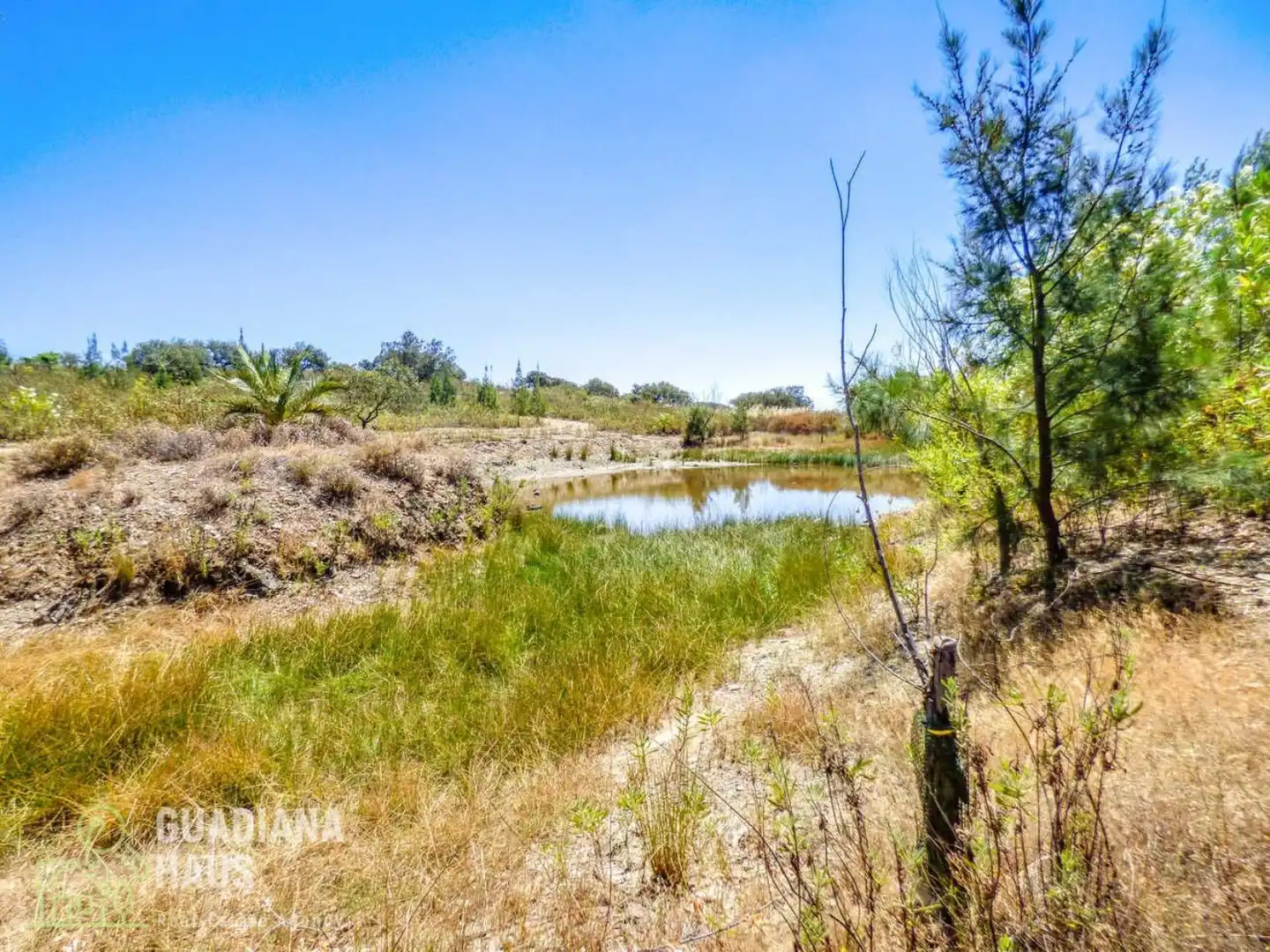 Country homes for sale in San Silvestre de Guzmán  with Private garden and Terrace