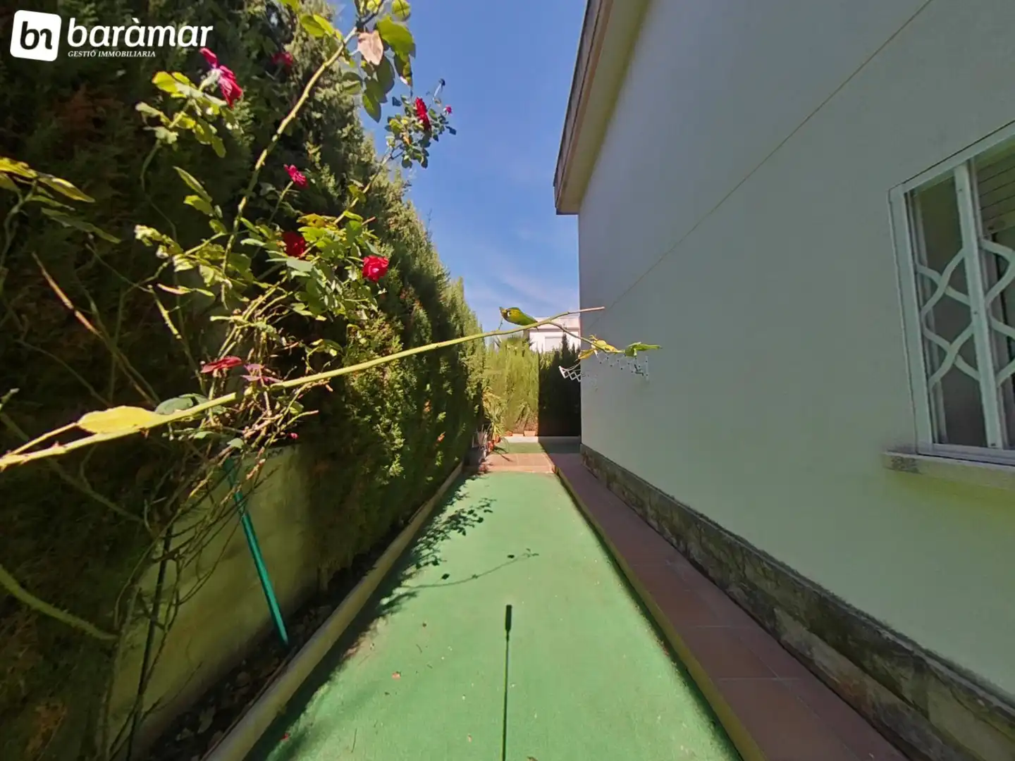 Rez-de-chaussée avec piscine à vendre à Carrer Francesc Mas Ros-Masos 10, imagen 47
