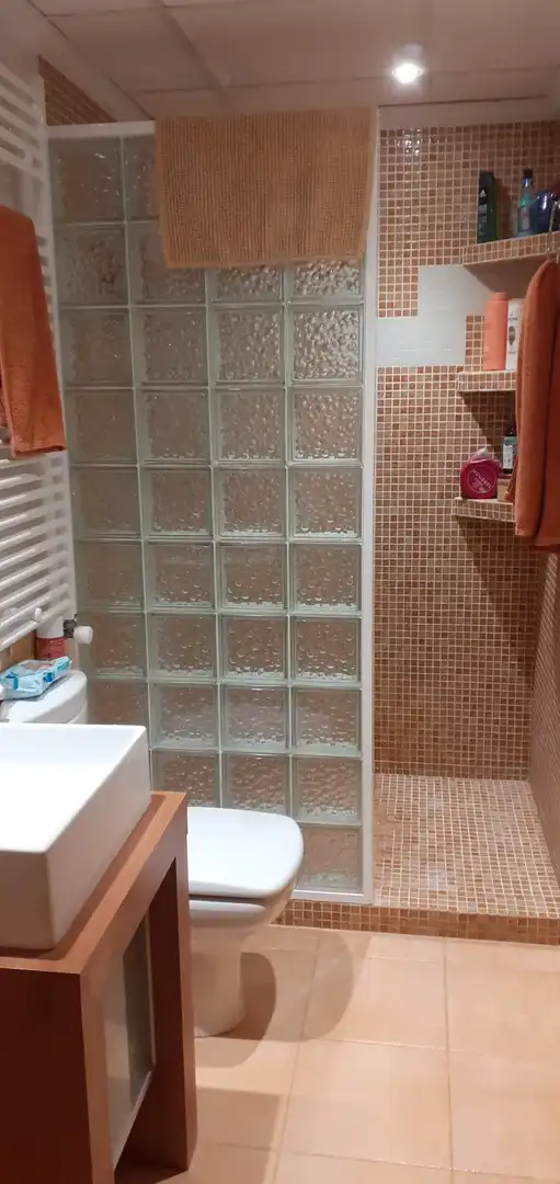 Baño de Casa o chalet en venta en Petrer con Aire acondicionado, Calefacción y Terraza