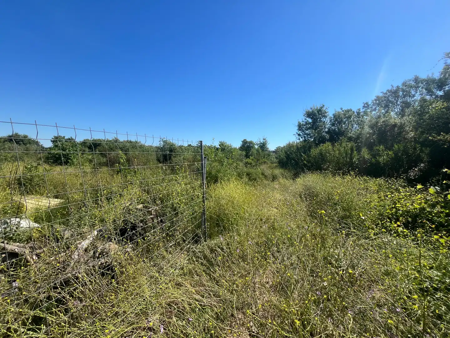 Land for sale in Constantí