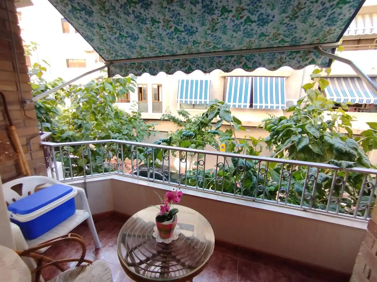 Piso con terraza en venta en calle de l'Alcalde Baeza Santamaria, imagen 15
