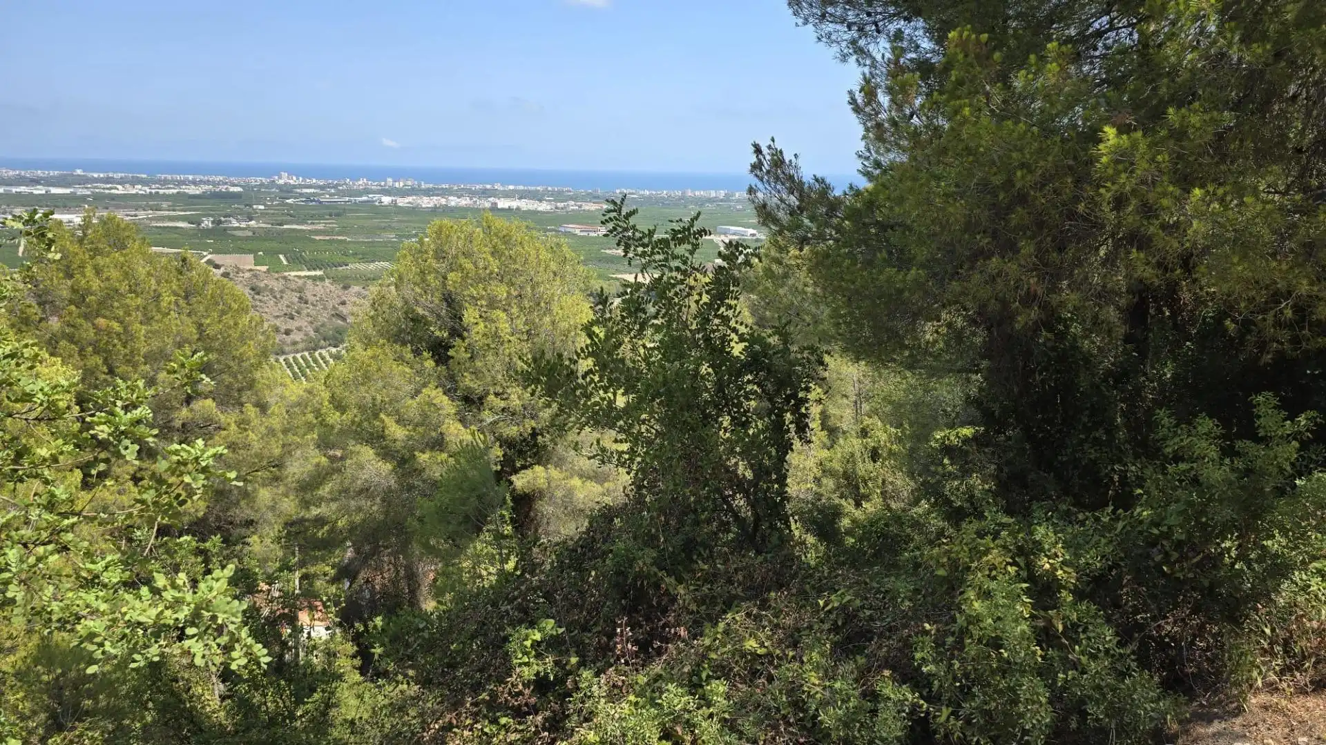 Terreny residencial en venda a La Font d'en Carròs, imagen 4