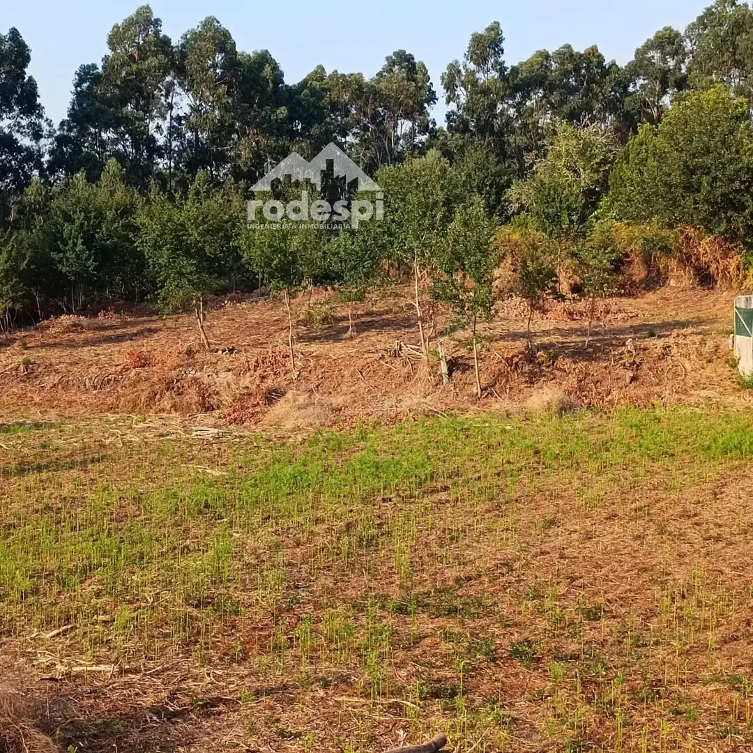 Lands and plots for sale in Mondariz, imagen 7