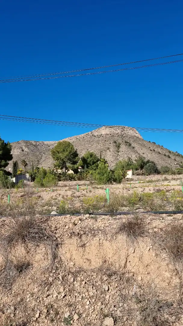 Land for sale in Aspe
