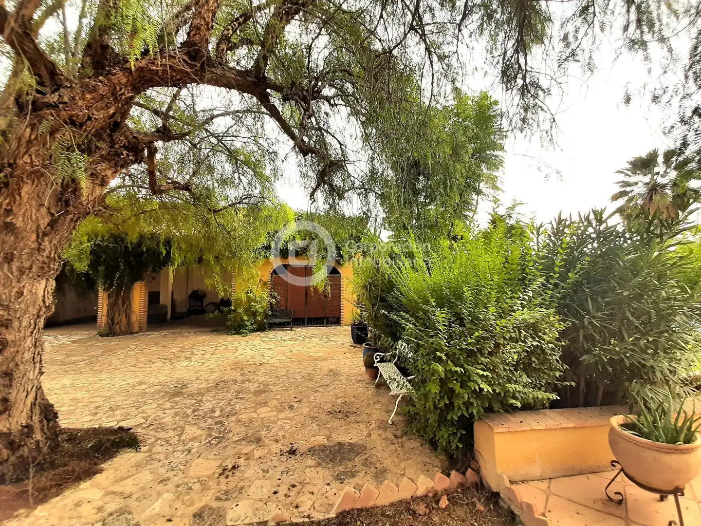 Jardín de Casa o chalet en venta en Lorca con Jardín privado, Terraza y Trastero
