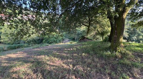 SE VENDE TERRENO RúSTICO EN LUGAR GANDAREU, VIASCóN. Se ofrece en venta un terreno rústico de 919 m ubicado en Lugar Gandareu, a t, immagine 4