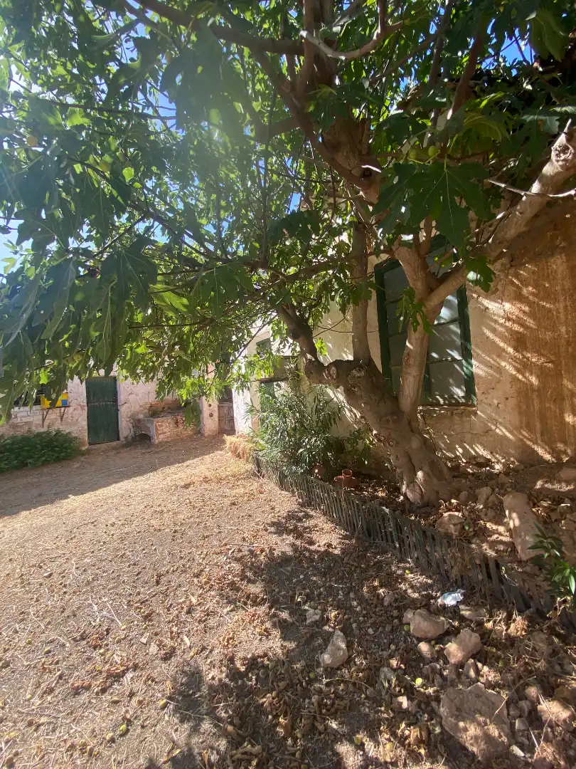 House with garden for sale in Calle Mayor 6, imagen 38