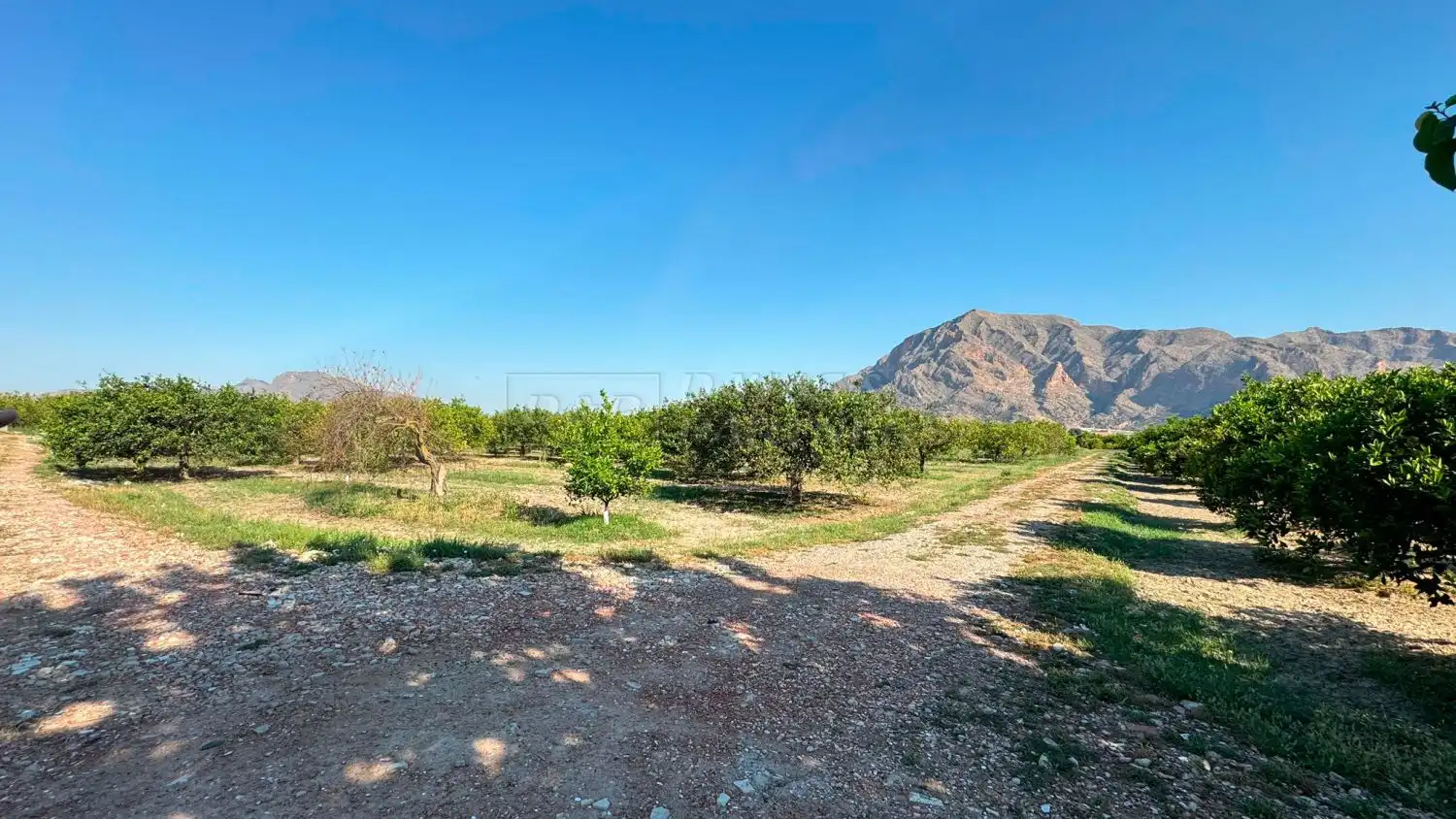 Finca rústica en venda en Redován