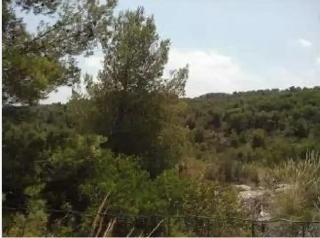 Terrain rustique à vendre à Carrer de l'Arcipreste Ferrandis, imagen 5