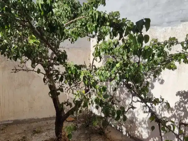 Piso en venta en Casabermeja con Trastero