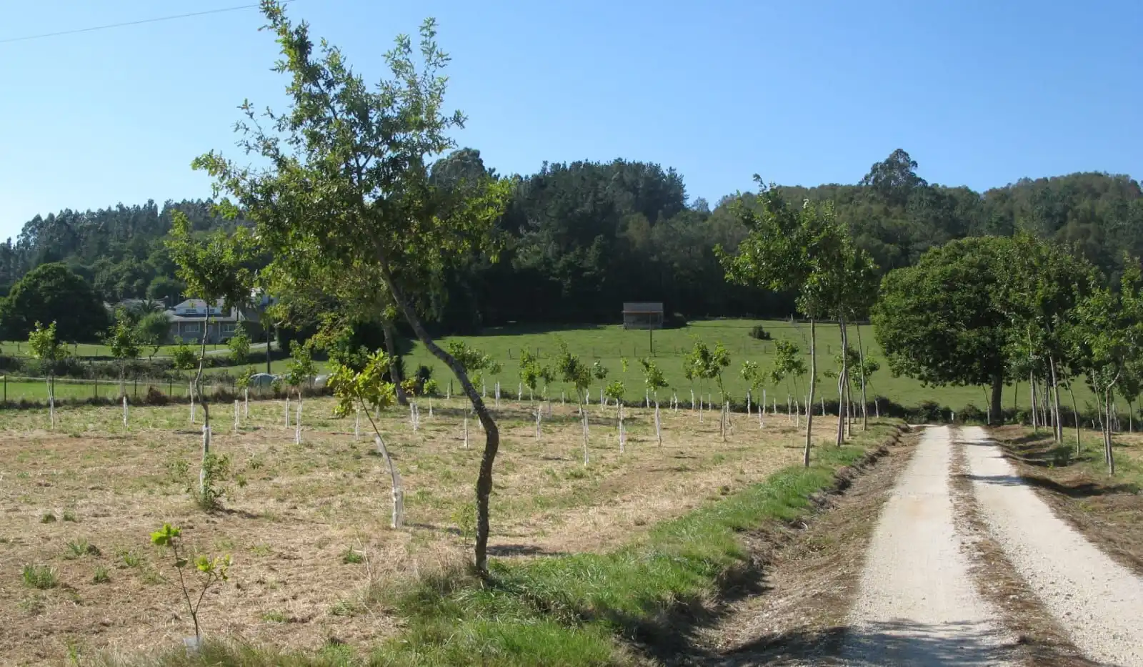 Casa en venta en As Pontes de García Rodríguez, imagen 2