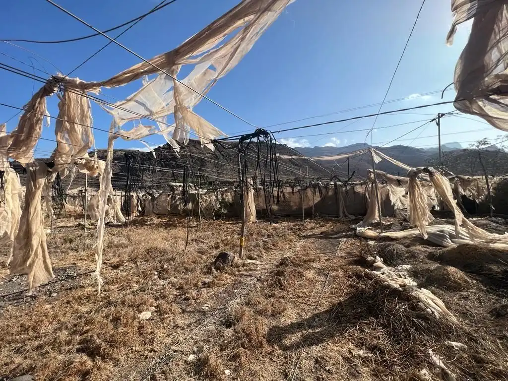 Terreny rústic en venda a La Aldea de San Nicolás, imagen 11