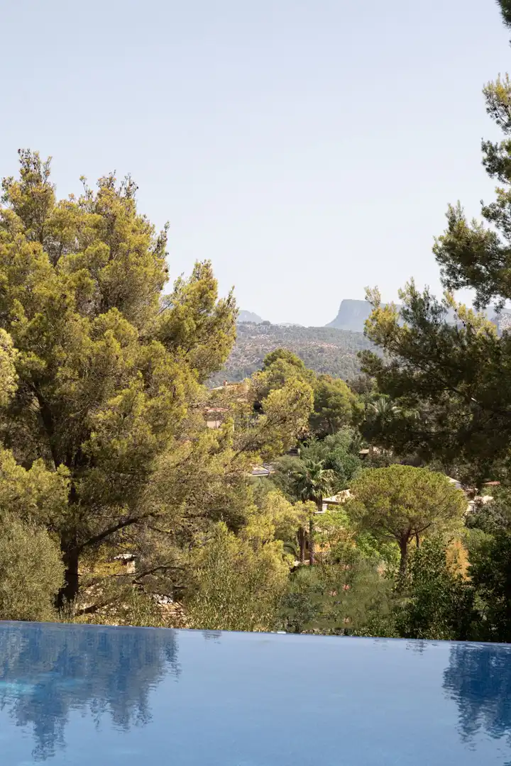 Villa à vendre à Esporles, imagen 39
