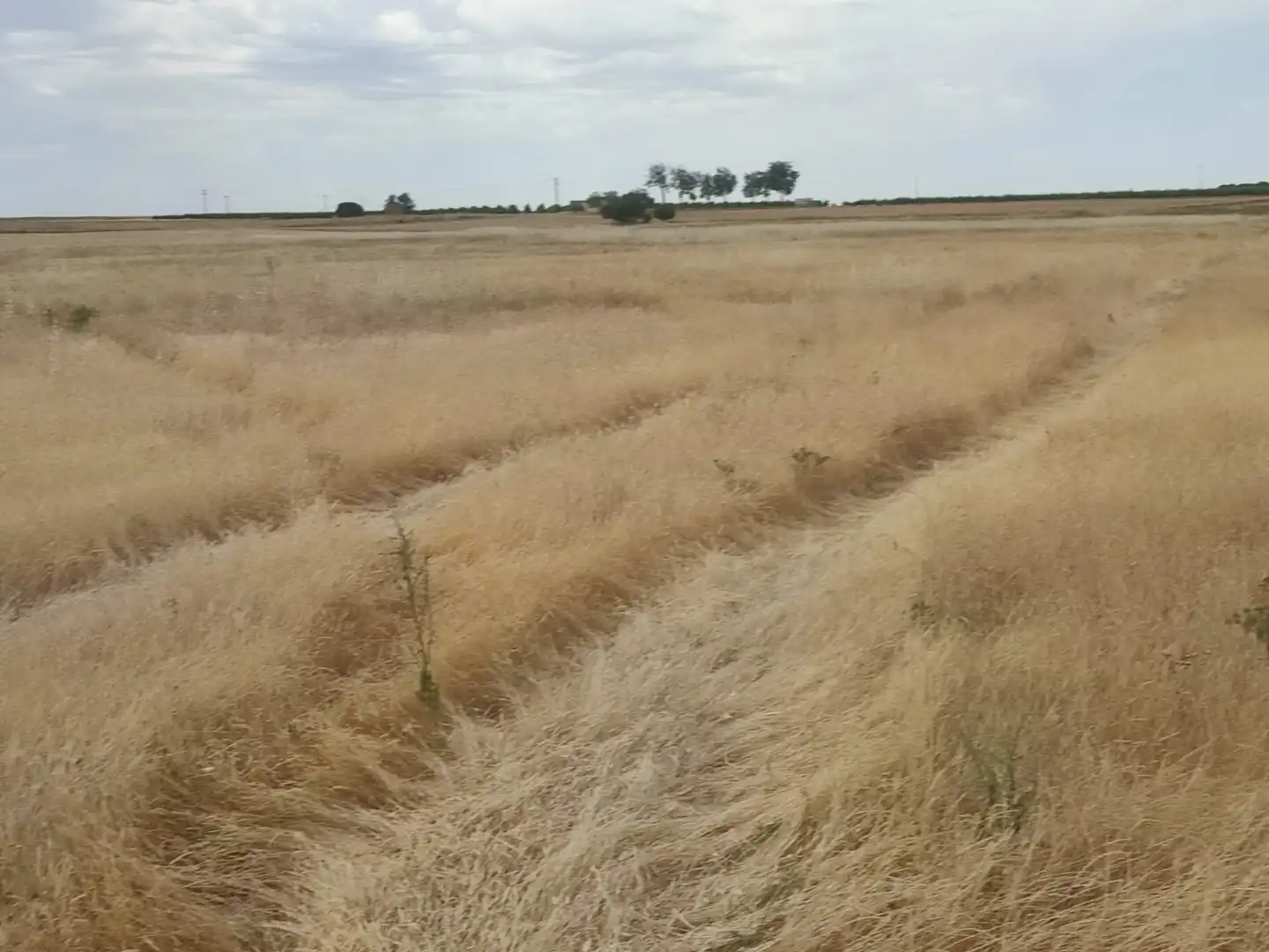 Terreno en venta en Nueva Villa de las Torres