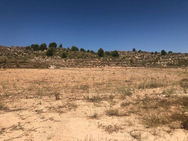 Terreno en Venta en Abanilla