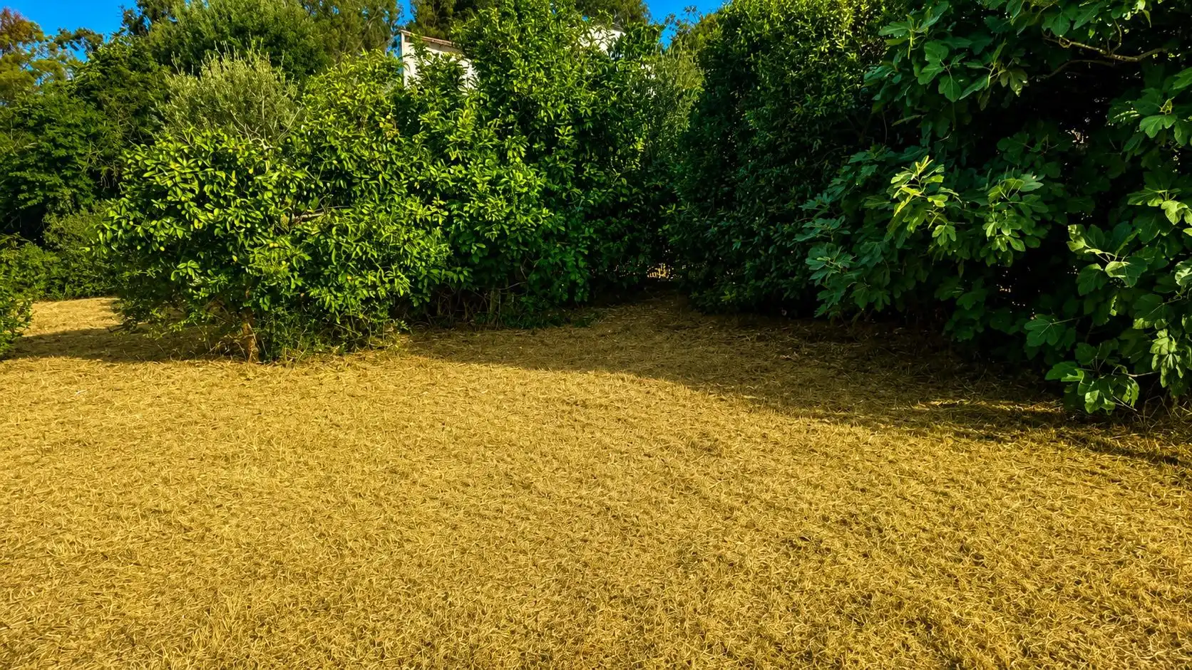 Wohnbaugrundstück zum Verkauf in La Banda - Campo de Fútbol, imagen 13