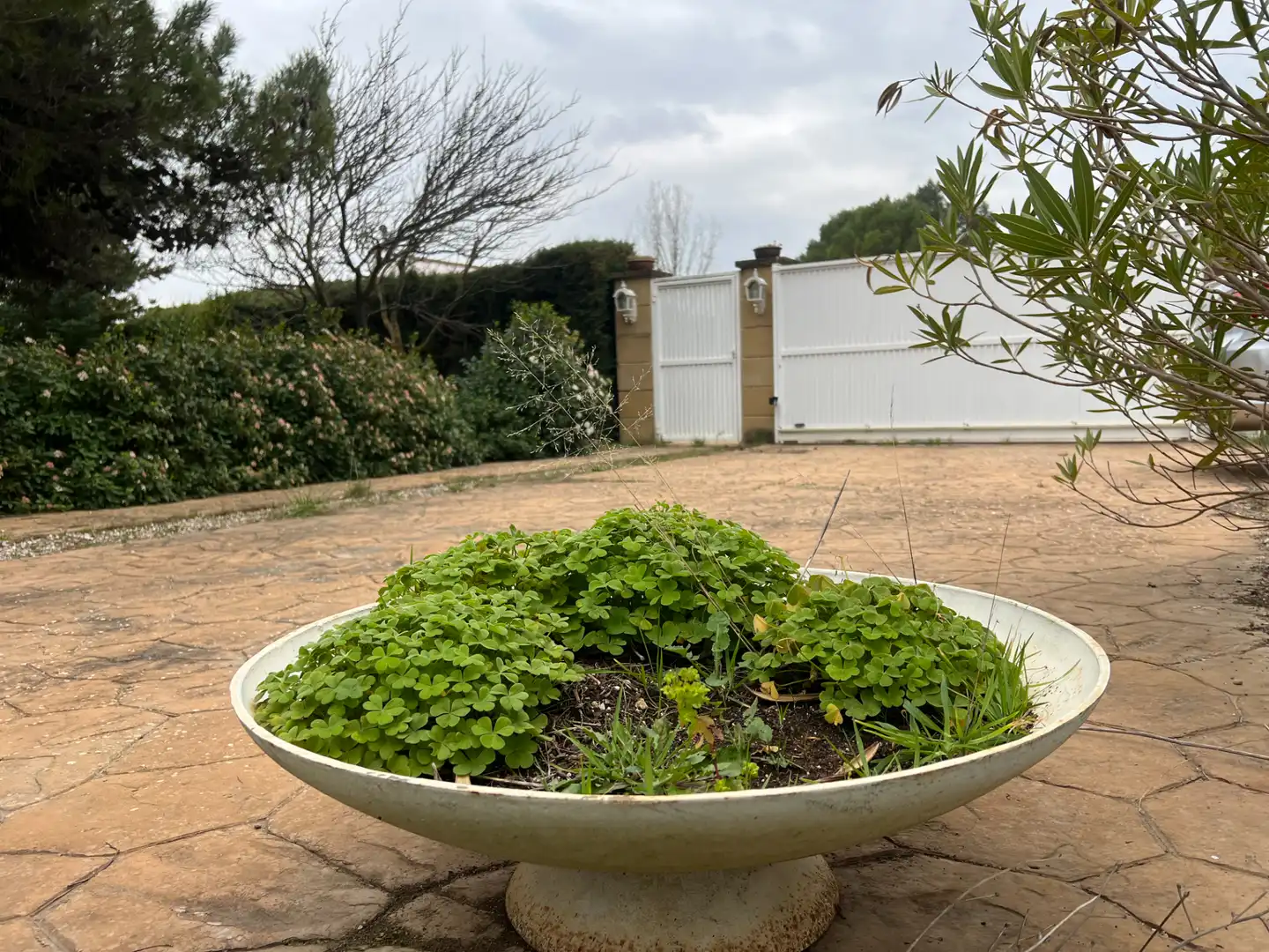 Jardín de Casa o chalet en venta en Murillo de Gállego