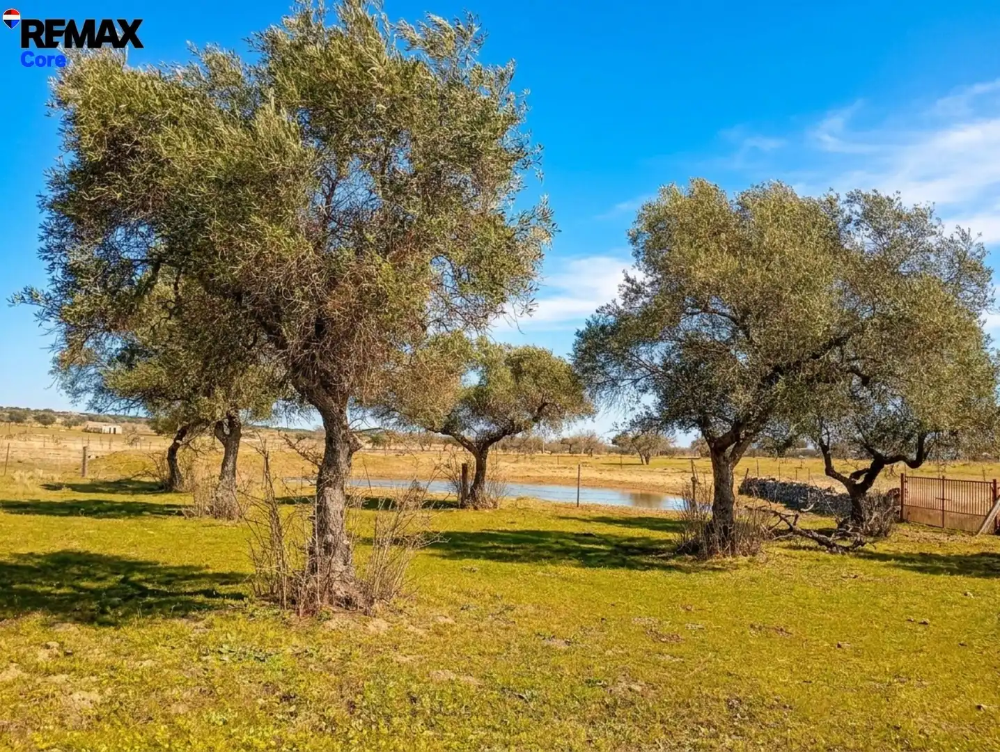 Terreni e lotti in vendita a Montánchez, imagen 5