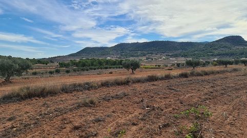 Terreno en venta en Pinoso., imagen 4