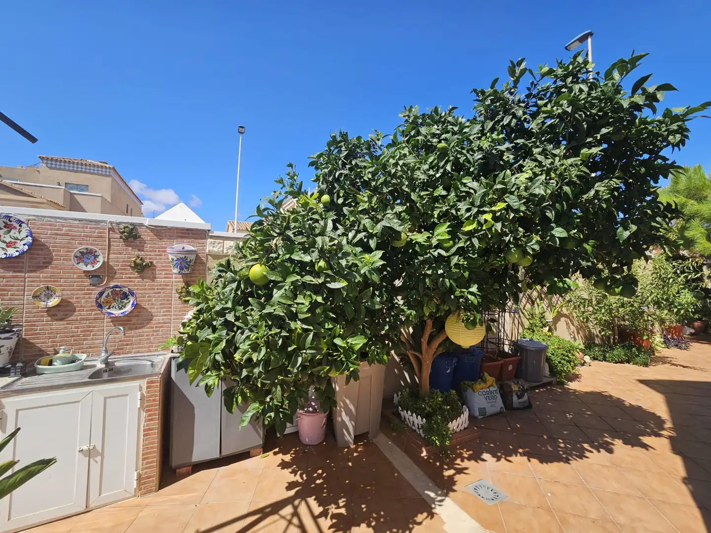 Jardín de Casa o chalet en venta en Torrevieja con Aire acondicionado, Jardín privado y Terraza