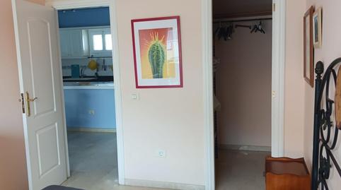 Foto 2 de Estudi de lloguer a San Antonio - Las Arenas, Puerto de la Cruz