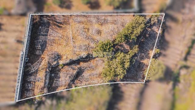 Terreno en Venta en La Matanza de Acentejo