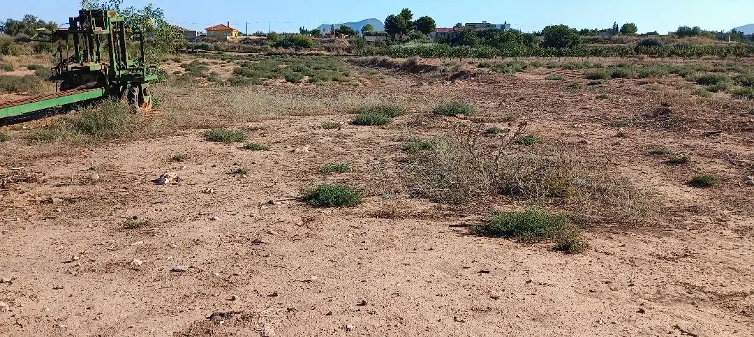 Rustikales Grundstück zum Verkauf in Pedanías Oeste