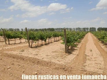 Rural land for sale in Villarrobledo