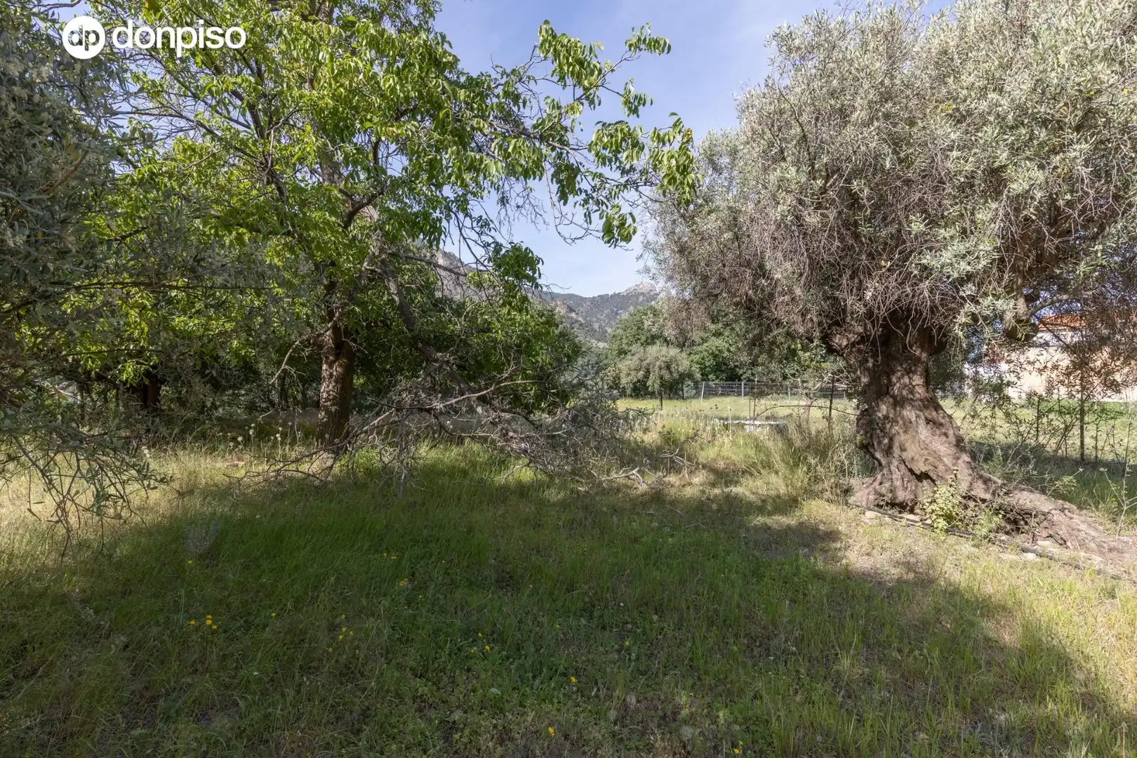 Lands and plots for sale in Carretera de Maitena, imagen 13