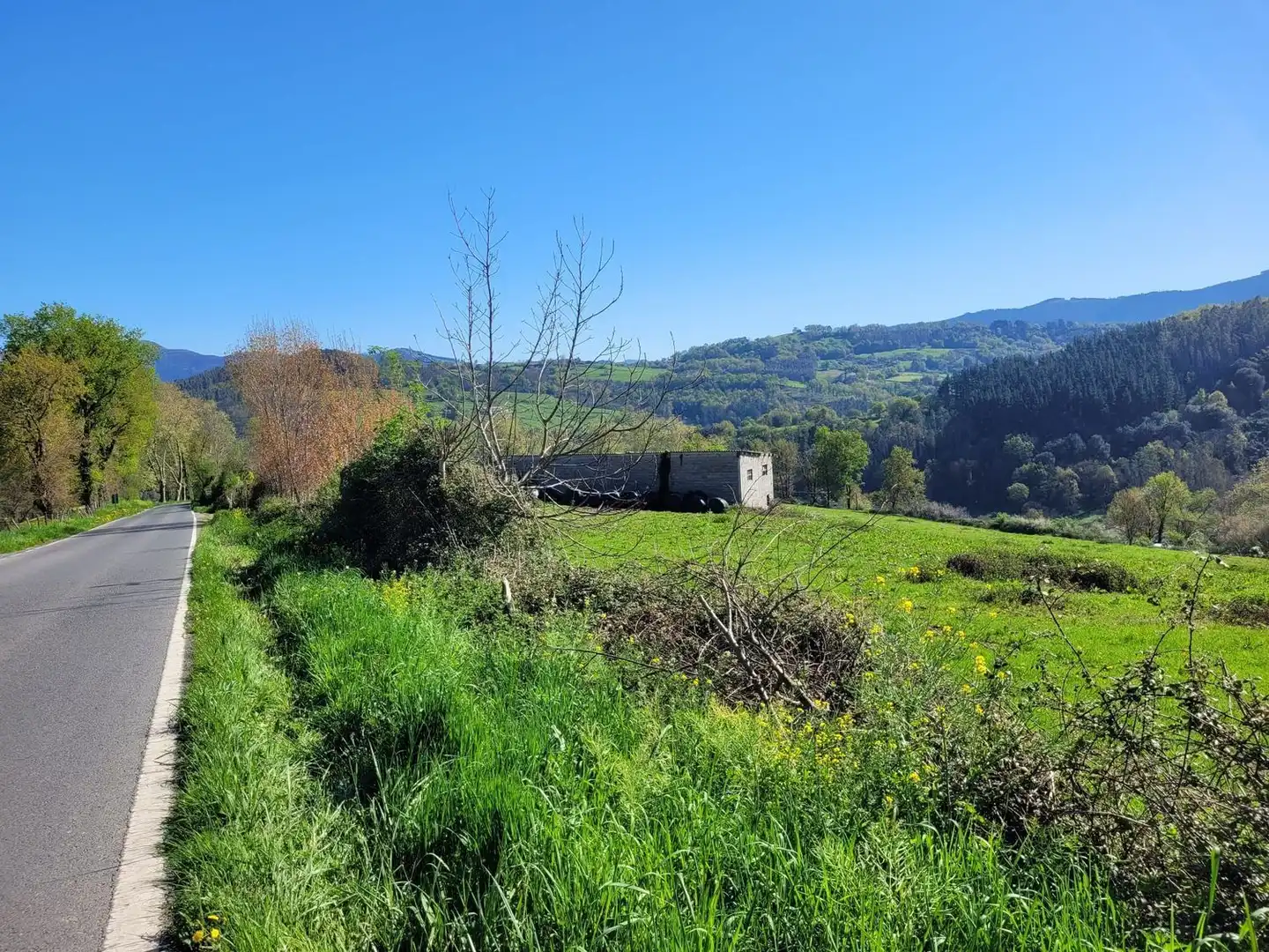 Land for sale in Karrantza Harana / Valle de Carranza