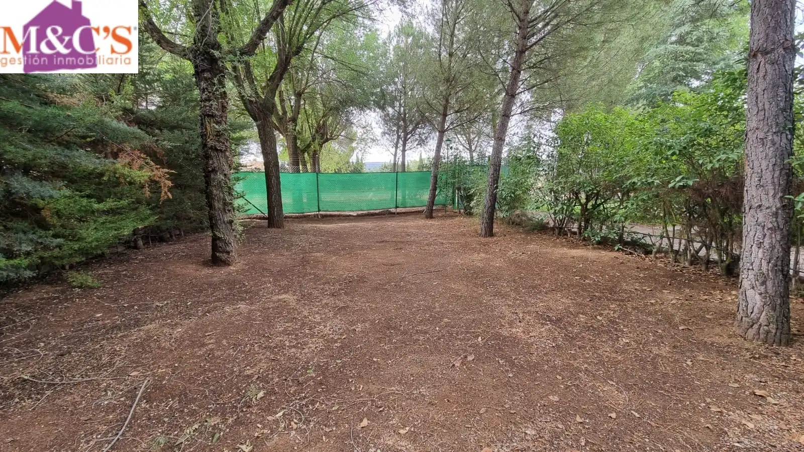 Terreno rustico in vendita a Argamasilla de Calatrava, imagen 72