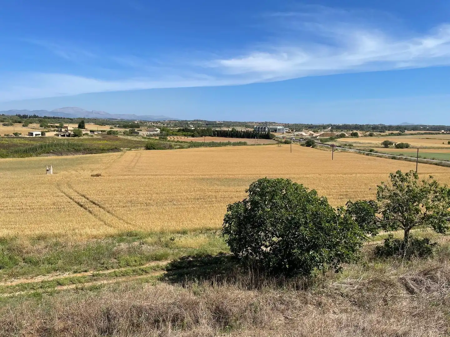 Finca rústica en venta en Ariany con Jardín privado