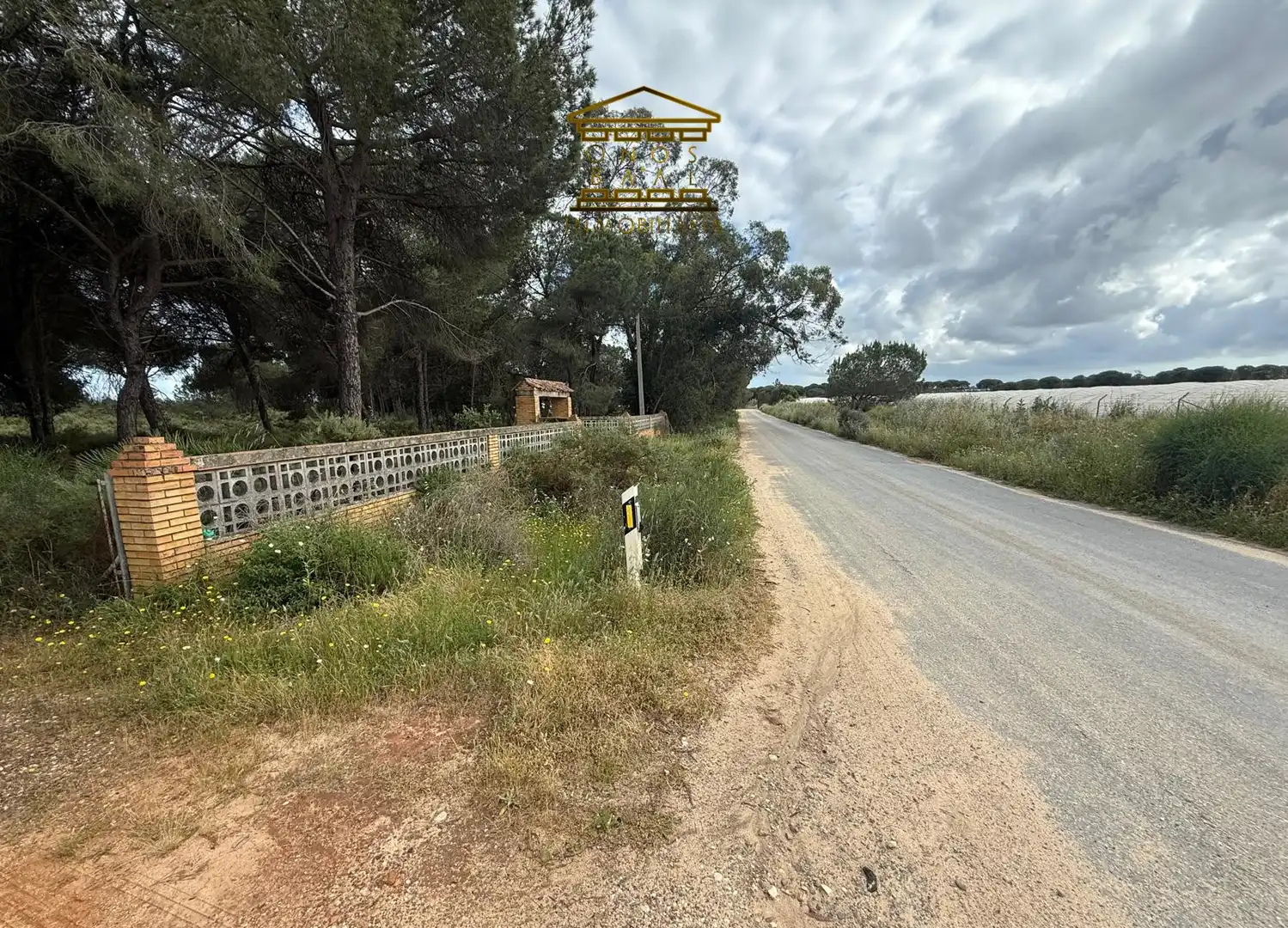Terreno en venta en Almonte