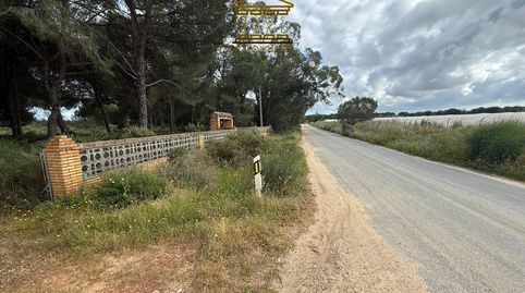 Foto 5 de Terreno en venta en N/a, -1, Almonte ciudad, Almonte