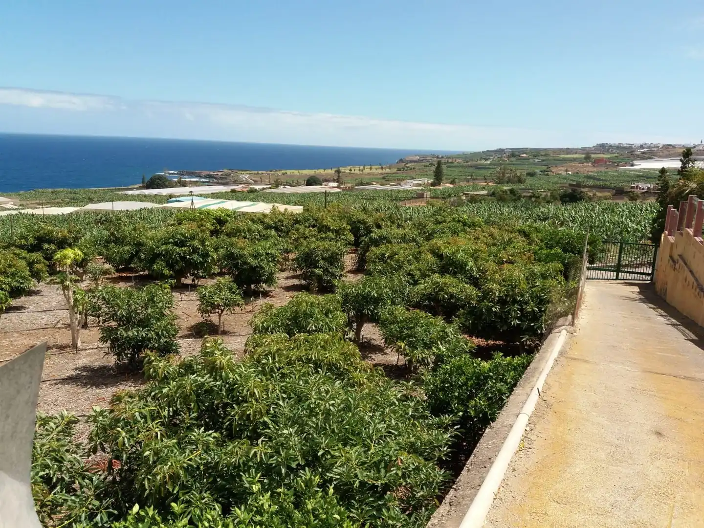 Terreno en venta en Prolongacion Primera a Carracote, 158, Buenavista del Norte