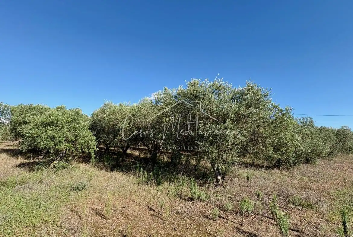 Terreny rústic en venda a Camí Vell de Cambrils, imagen 7