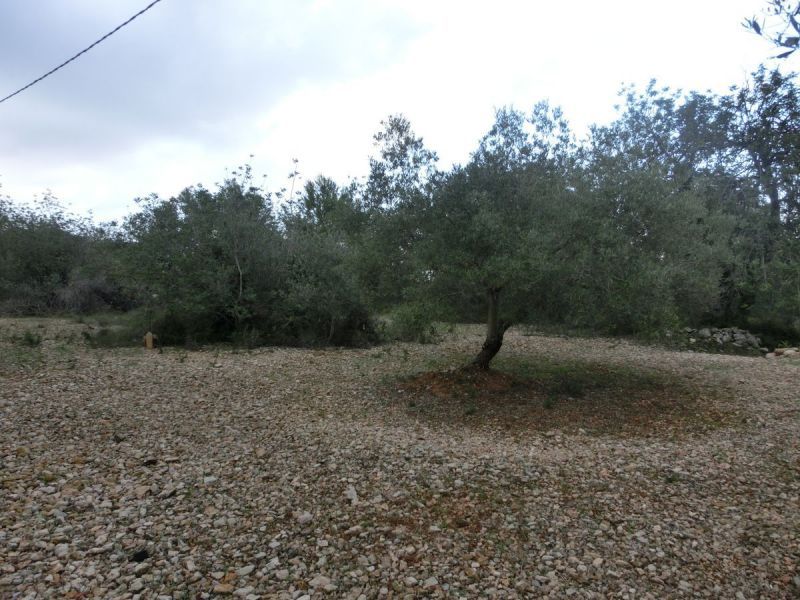 Industrial land for sale in Sant Carles de la Ràpita