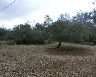 Industrial land for sale in Sant Carles de la Ràpita