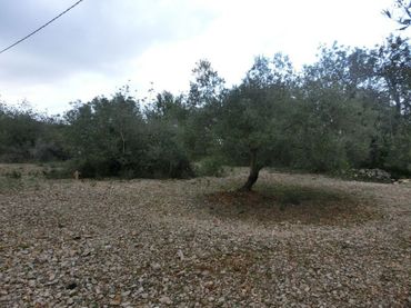 Terreno industrial en venta en Centre