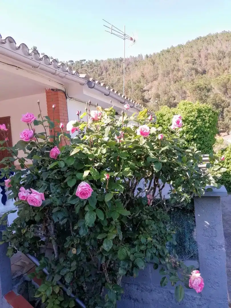 Villa mit Pool zum Verkauf in Massanes, imagen 47